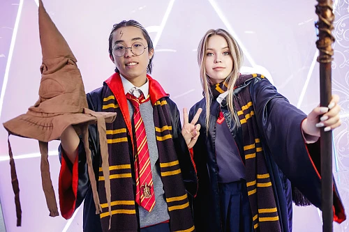 Гарри Поттер и Гермиона