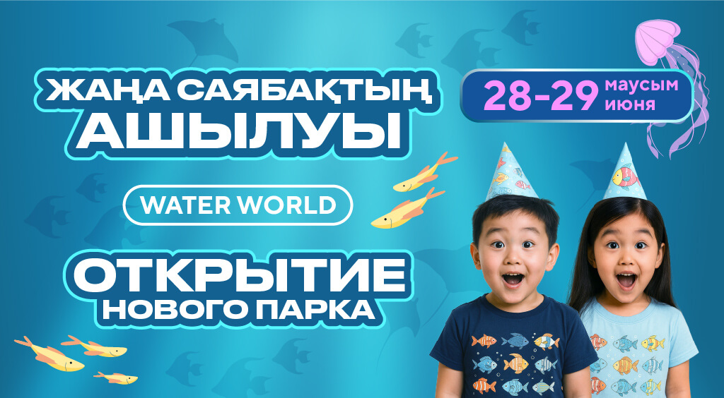 Баннер